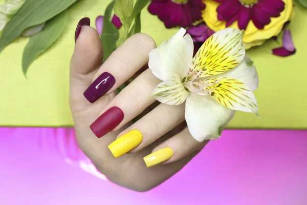 Mooie Modieuze Multi Gekleurde Manicure Met Matte Glanzende Nagel Poolse — Stockfoto