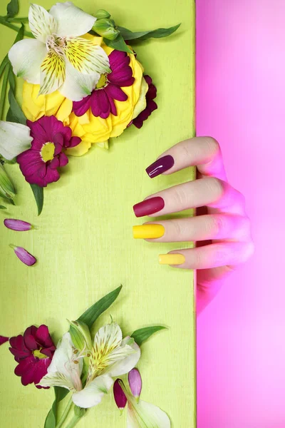 Beautiful Fashionable Multi Colored Manicure Matte Glossy Nail Polish Colors — Stock Photo, Image