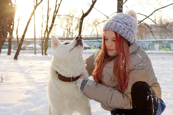 Flicka Kommunicerar Med Hund Naturen Vintern — Stockfoto