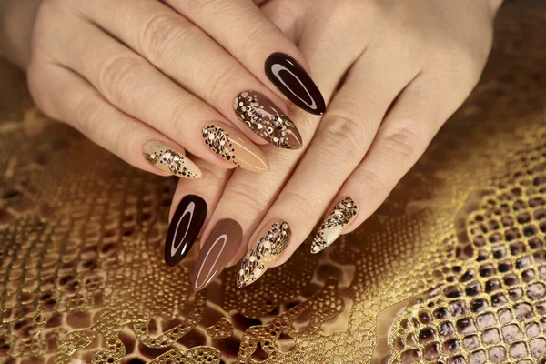 Luxe Veelkleurige Beige Bruine Manicure Met Dierenmotief Lange Nagels — Stockfoto