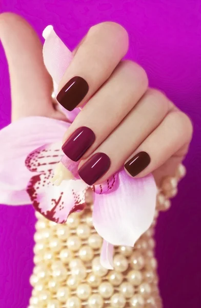 Tweekleurige manicure. — Stockfoto