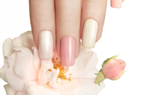 Pastel manicure with rose. — Stock Photo, Image