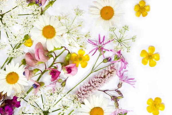 Insamling av blommor. — Stockfoto