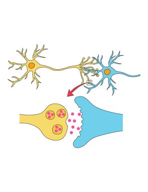 İnsan eli kelebekli şırınga tutuyor.
