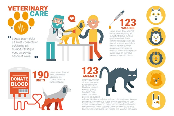 Infographie des soins vétérinaires — Image vectorielle