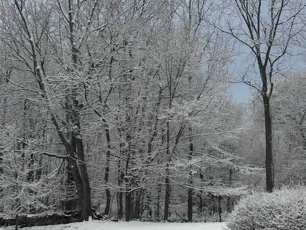 Sneeuw in Connecticut — Stockfoto