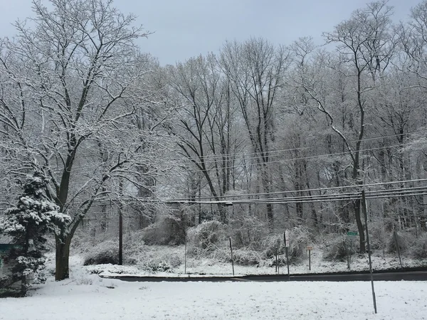 Sneeuw in Connecticut — Stockfoto