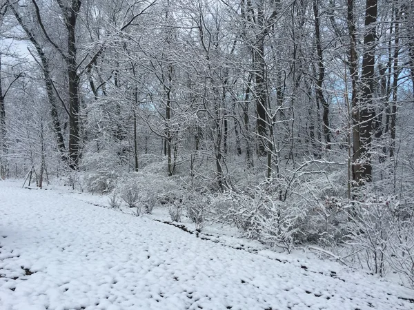 Sneeuw in Connecticut — Stockfoto