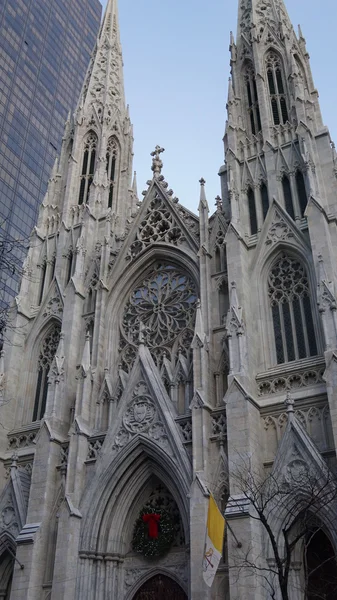 St. Patrick 's Cathedral i New York - Stock-foto