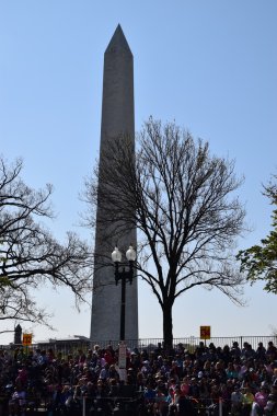2016 Ulusal Cherry Blossom geçit töreninde Washington Dc