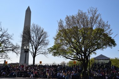 2016 Ulusal Cherry Blossom geçit töreninde Washington Dc