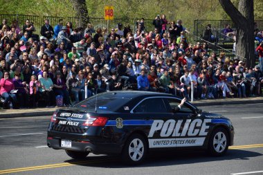 2016 Ulusal Cherry Blossom geçit töreninde Washington Dc