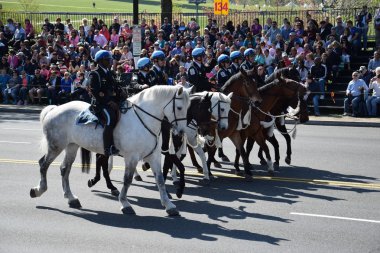 2016 Ulusal Cherry Blossom geçit töreninde Washington Dc