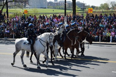 2016 Ulusal Cherry Blossom geçit töreninde Washington Dc