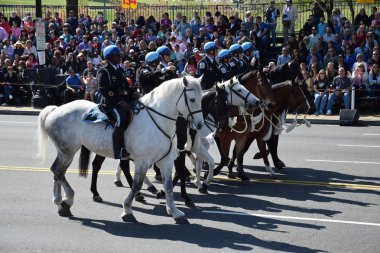 2016 Ulusal Cherry Blossom geçit töreninde Washington Dc