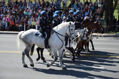 2016 Ulusal Cherry Blossom geçit töreninde Washington Dc