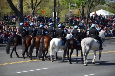 2016 Ulusal Cherry Blossom geçit töreninde Washington Dc