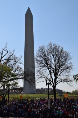 2016 Ulusal Cherry Blossom geçit töreninde Washington Dc