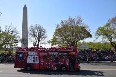 2016 Ulusal Cherry Blossom geçit töreninde Washington Dc