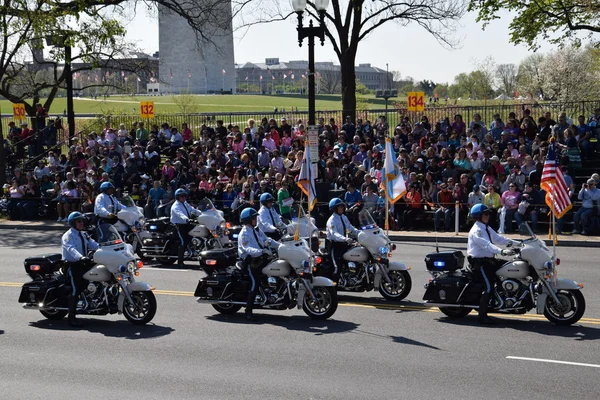 Défilé national des cerisiers 2016 à Washington DC — Photo