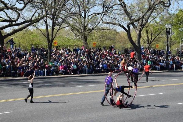 2016 Ulusal Cherry Blossom geçit töreninde Washington Dc