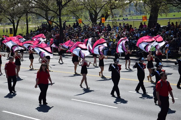 Défilé national des cerisiers 2016 à Washington DC — Photo