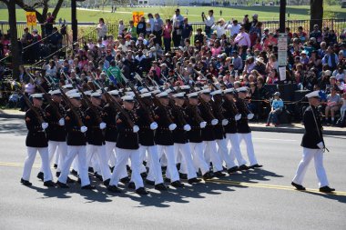 2016 Ulusal Cherry Blossom geçit töreninde Washington Dc