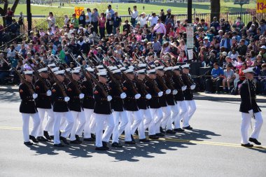 2016 Ulusal Cherry Blossom geçit töreninde Washington Dc