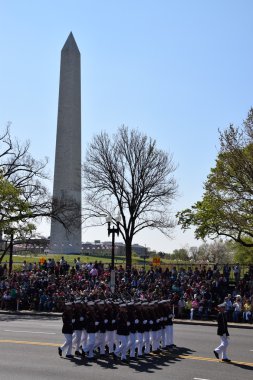 2016 Ulusal Cherry Blossom geçit töreninde Washington Dc