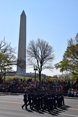 2016 Ulusal Cherry Blossom geçit töreninde Washington Dc