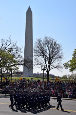 2016 Ulusal Cherry Blossom geçit töreninde Washington Dc