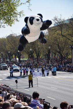 2016 Ulusal Cherry Blossom geçit töreninde Washington Dc
