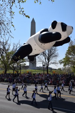 2016 Ulusal Cherry Blossom geçit töreninde Washington Dc