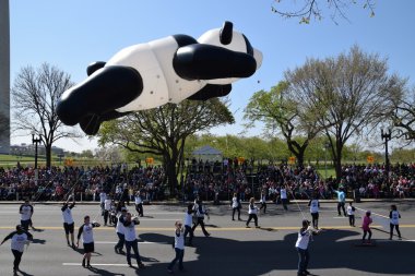 2016 Ulusal Cherry Blossom geçit töreninde Washington Dc