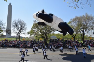 2016 Ulusal Cherry Blossom geçit töreninde Washington Dc