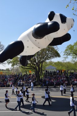 2016 Ulusal Cherry Blossom geçit töreninde Washington Dc