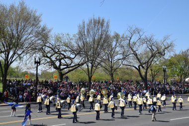 2016 Ulusal Cherry Blossom geçit töreninde Washington Dc