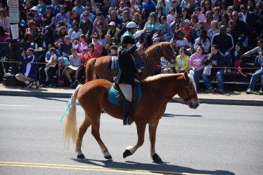 2016 Ulusal Cherry Blossom geçit töreninde Washington Dc