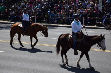 2016 Ulusal Cherry Blossom geçit töreninde Washington Dc