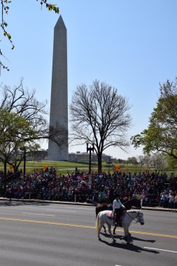 2016 Ulusal Cherry Blossom geçit töreninde Washington Dc