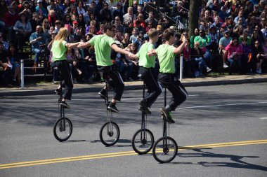 2016 Ulusal Cherry Blossom geçit töreninde Washington Dc