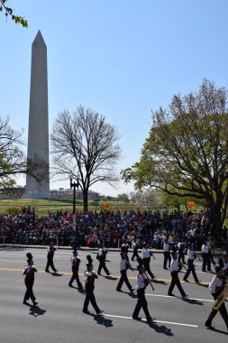 2016 Ulusal Cherry Blossom geçit töreninde Washington Dc