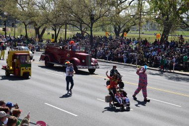 2016 Ulusal Cherry Blossom geçit töreninde Washington Dc