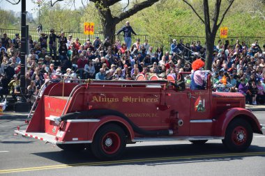 2016 Ulusal Cherry Blossom geçit töreninde Washington Dc