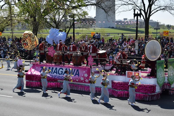 2016 kraju kwitnącej wiśni Parade w Waszyngtonie — Zdjęcie stockowe