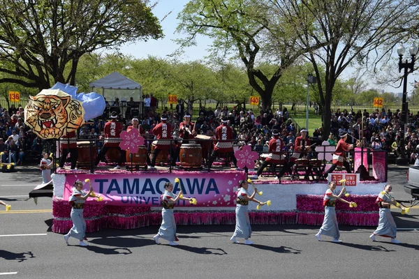 Défilé national des cerisiers 2016 à Washington DC — Photo