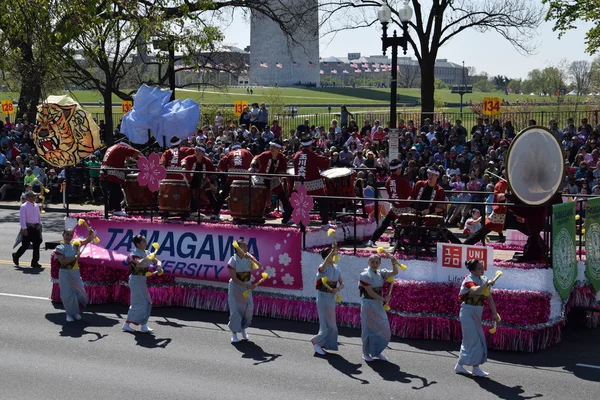 2016 National Cherry Blossom Parade in Washington DC — Stock Photo, Image