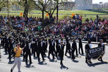 2016 Ulusal Cherry Blossom geçit töreninde Washington Dc