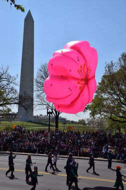 2016 Ulusal Cherry Blossom geçit töreninde Washington Dc