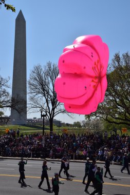 2016 Ulusal Cherry Blossom geçit töreninde Washington Dc